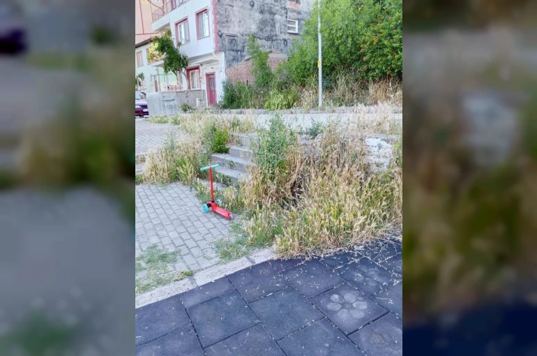 Otluk alana dönen bu park bakım ve temizlik bekliyor 