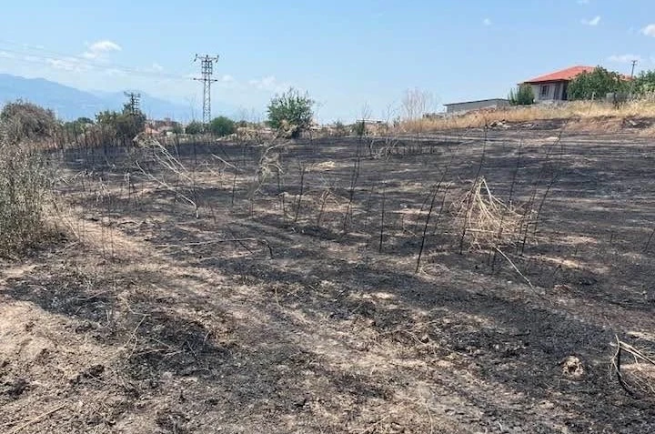 Otluk alanda çıkan yangın büyümeden söndürüldü