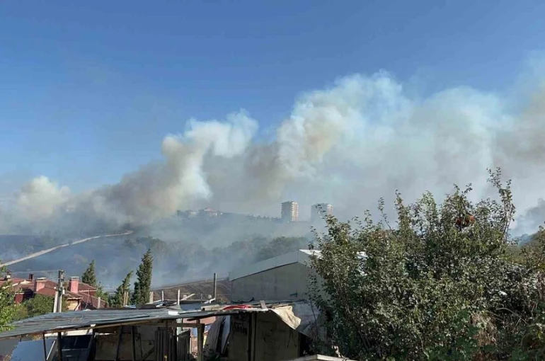 Otluk alanda çıkan yangın, fabrikaları ve villayı tehdit etti