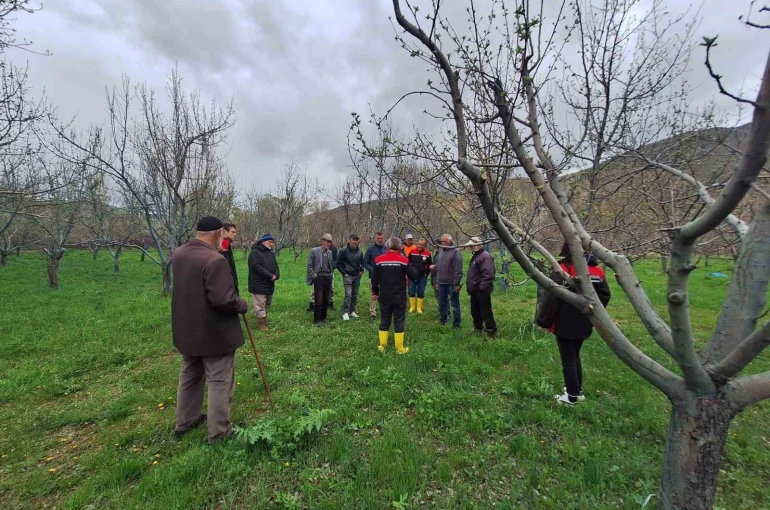 Otlukbeli’nde üreticilere meyve ağaçlarında budama eğitimi
