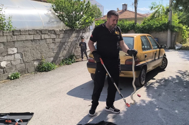 Otomobilin altına giren yılan itfaiye ekiplerince çıkarıldı