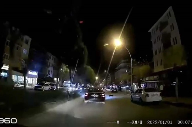 Otomobilin altında kalan kedi telef oldu