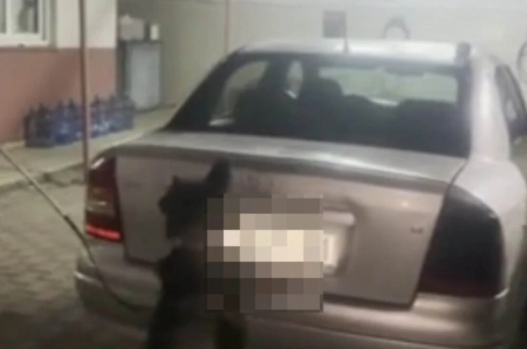 Otomobilin gaz tankından uyuşturucu çıktı: 6 tutuklama