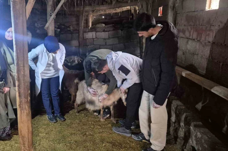 Özalp’te çiftçilere yönelik eğitim seferberliği başlatıldı 