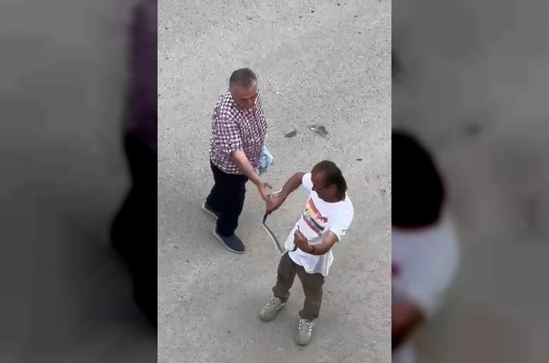 Paniğe sebep olan yılanı eliyle yakaladı