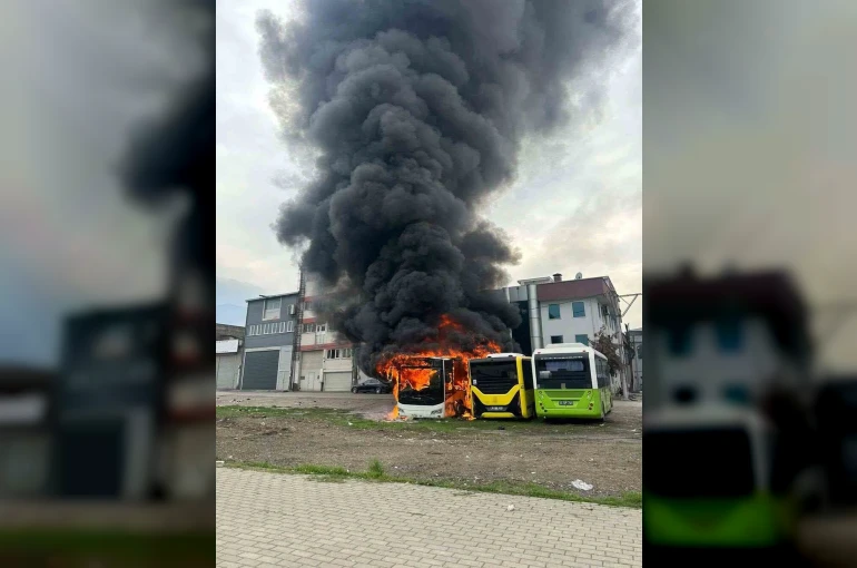 Park halindeki otobüsler cayır cayır yandı