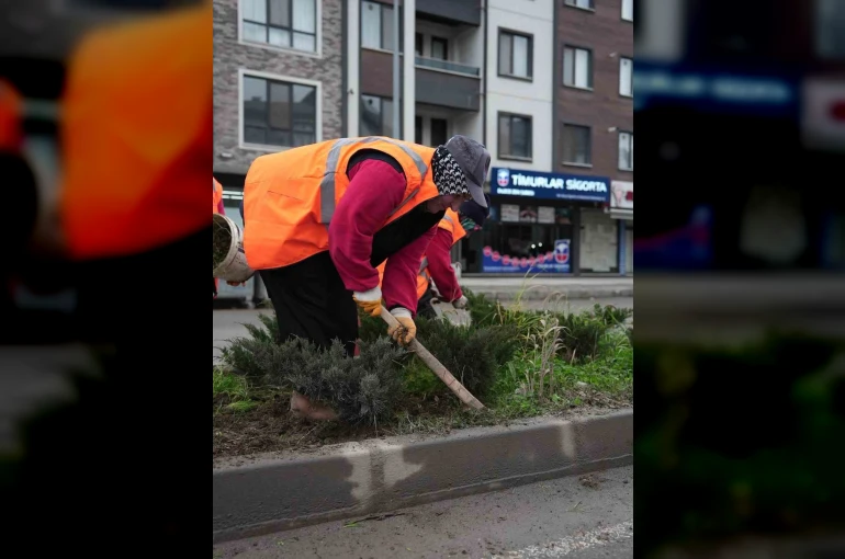 Park ve yeşil alanlarda peyzaj çalışmaları sürüyor