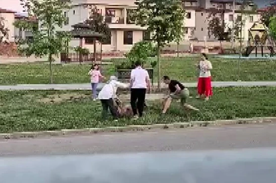 Parkta dolaştırılan köpeğe saldıran başıboş köpek, doktor tarafından etkisiz hale getirildi