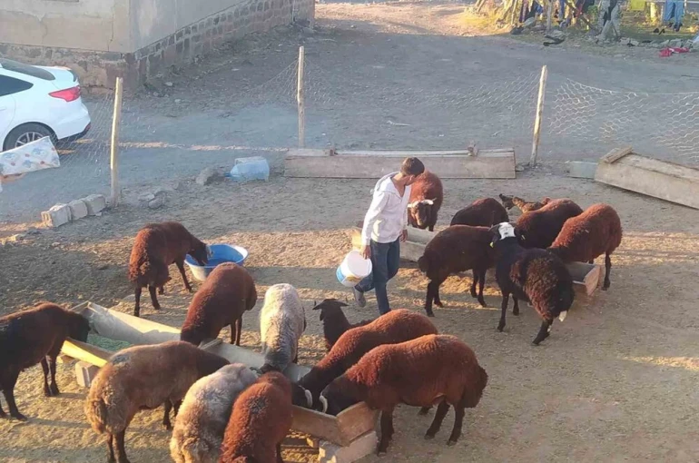 Patnos’ta besiciler kış hazırlığını sürdürüyor 
