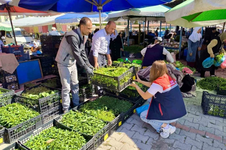 Pazarlarda satılan tohum ve fideler kontrol edildi