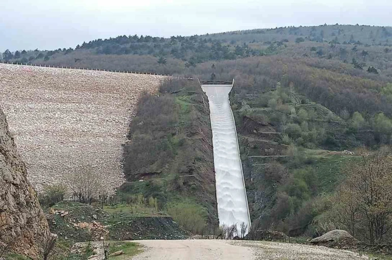 Pazaryeri tarımında altın dönem başlıyor