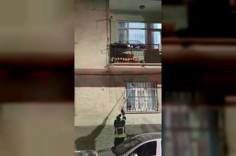 Pencere korkuluğundaki yılan ekiplerce yakalandı