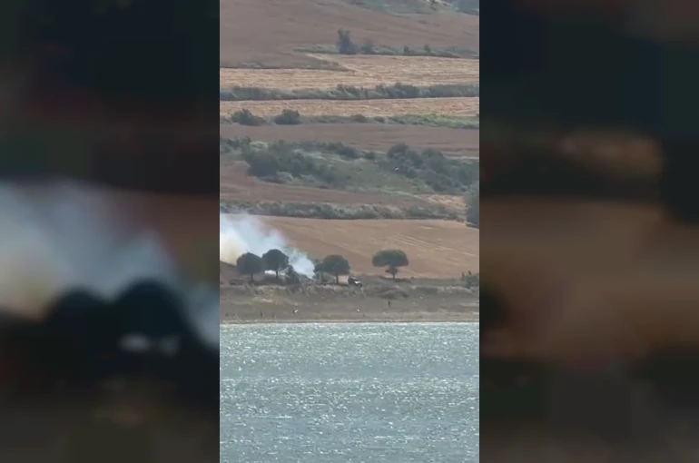 Piknik ateşi çayırlık alanı küle çevirdi