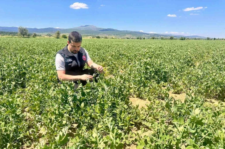 Planlı tarımsal üretim için saha çalışmaları sürüyor