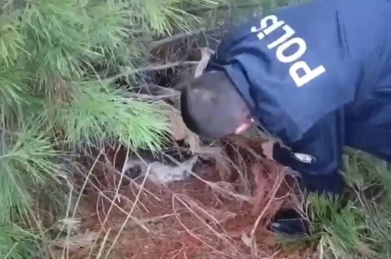 Polis kaçak avcılık tuzağı ele geçirdi