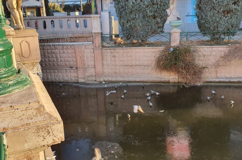 Porsuk’un donduğunun resmidir
