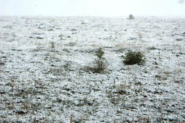 Posof’ta kar yağışı