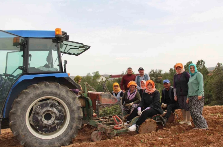 Poşusunu takan Kaymakam Kuran üreticilerle birlikte kekik dikti