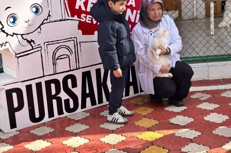 Pursaklar’da öğrencilerden kedi evine ziyaret