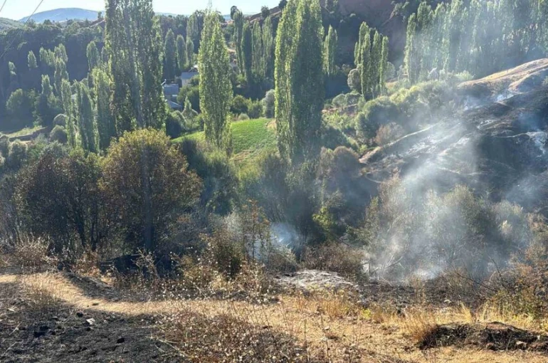 Pütürge’de bahçe yangını korkuttu
