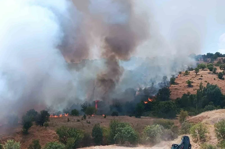 Pütürge’de orman ve örtü yangını kontrol altına alındı 