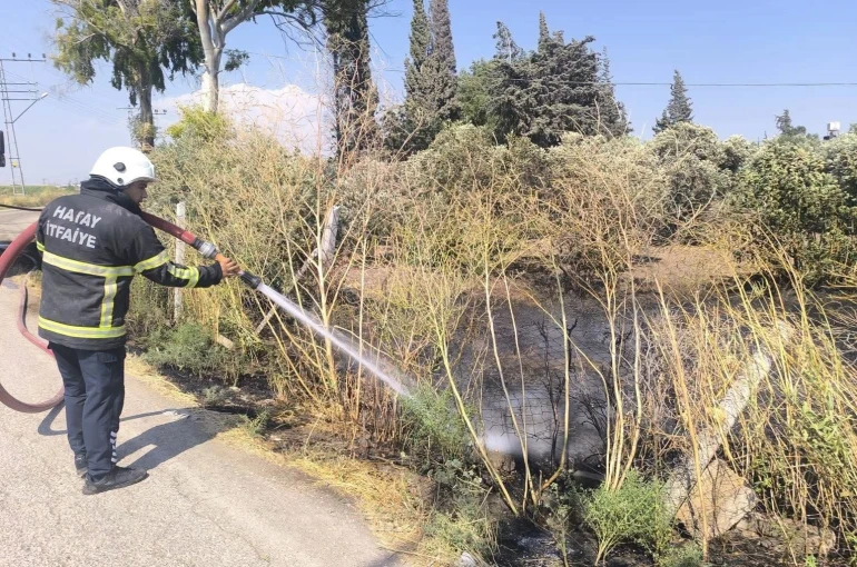Reyhanlı’da zeytinlik alandan alevler yükseldi
