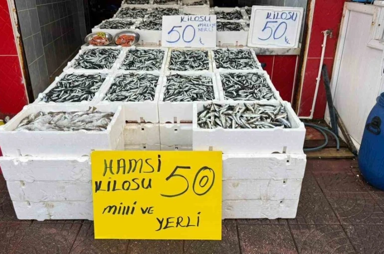 Rize’de hamsinin fiyatı sevenlerinin yüzünü güldürüyor