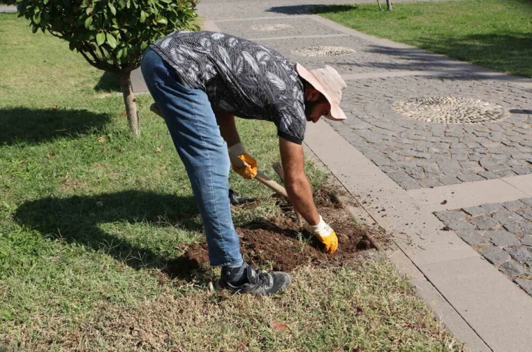 Roma döneminden esinlenildi: Diyarbakır Müzesinde ’Sütunlu Yol’ dönemi başlıyor