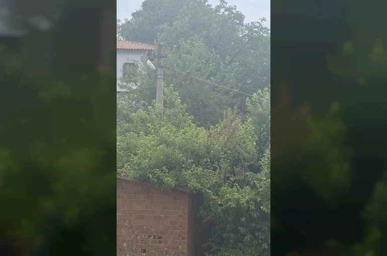 Safranbolu’da karganın "Allah" diye ses çıkardığı anlar kameraya yansıdı