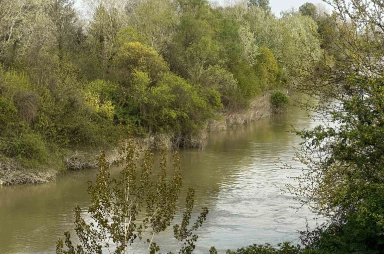 Sakarya Nehri’ne düşen çocuk didik didik aranıyor