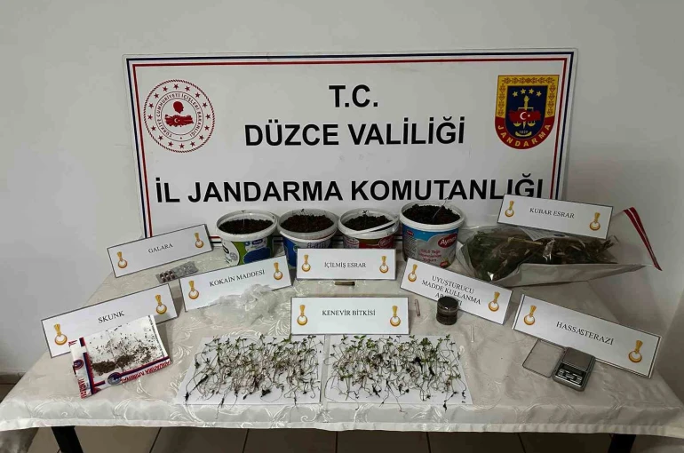Saksıda kenevir yetiştiren şahıs gözaltına alındı