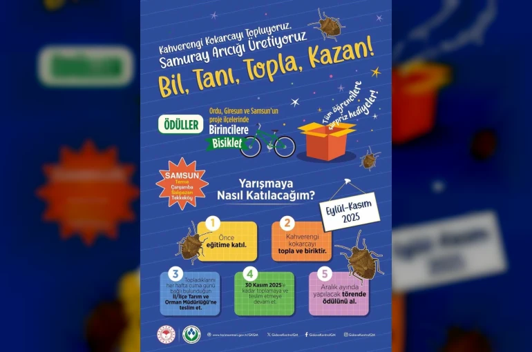 Samsun’da öğrenciler kokarca toplama yarışında 