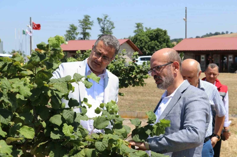 Samsun’da tarımsal üretim çalışmaları yerinde incelendi