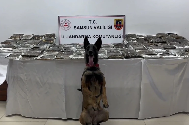 Samsun’da tıra gizlenmiş 132 kilo toz esrar ele geçirildi