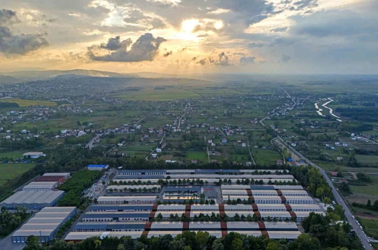 SAMÜ, 7 alanda ilk 20 üniversite arasında yer aldı