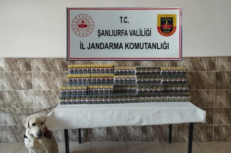 Şanlıurfa’da 420 paket gümrük kaçağı sigara ele geçirildi
