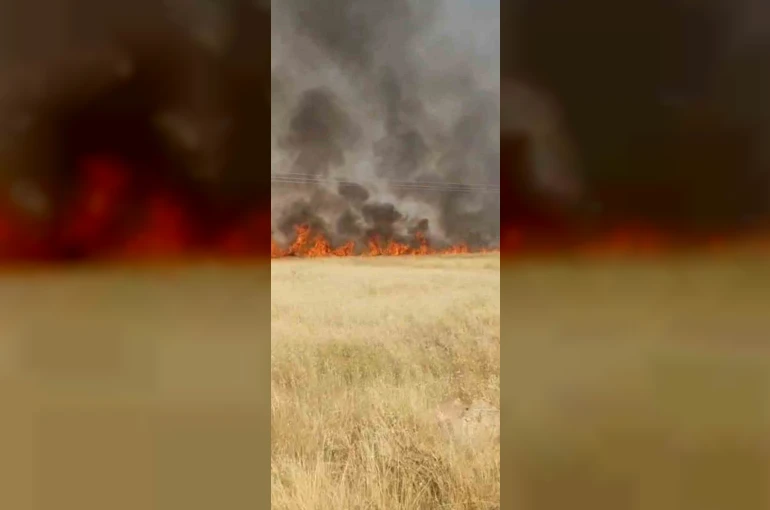 Şanlıurfa’da 45 dönüm buğday ekili alan yandı