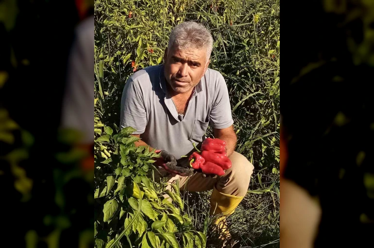 Şanlıurfa’da asansör faciası: Boşluğa düşen servis şoförü hayatını kaybetti