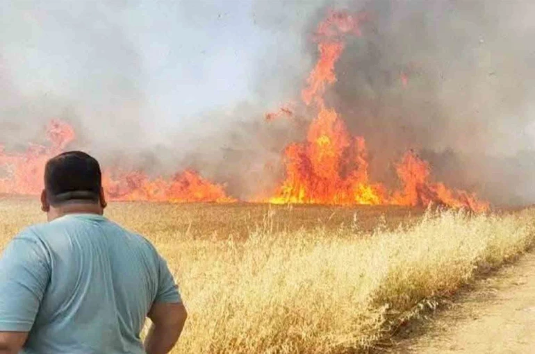 Şanlıurfa’da buğday tarlasında korkutan yangın