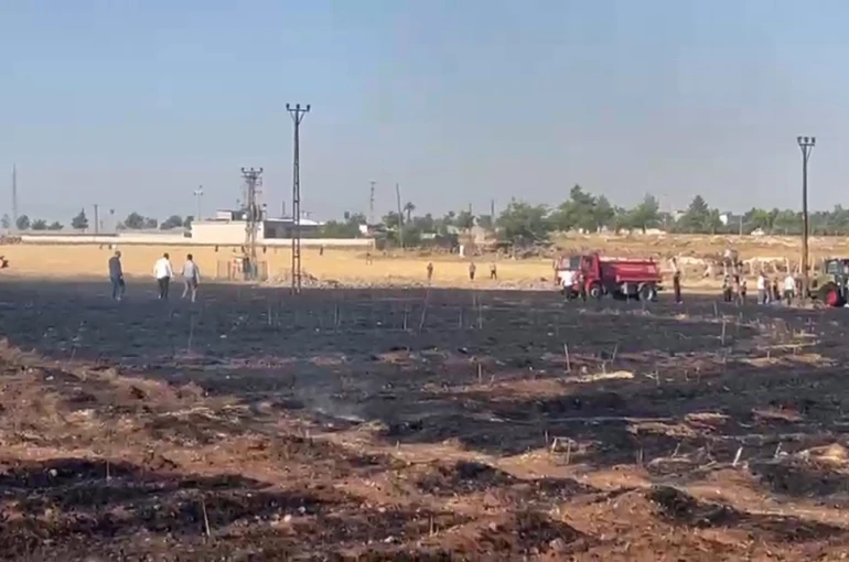 Şanlıurfa’da çıkan yangında 60 dönüm buğday ekili alan zarar gördü