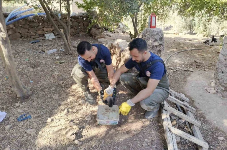 Şanlıurfa’da foseptik çukuruna düşen köpek yavrusu kurtarıldı