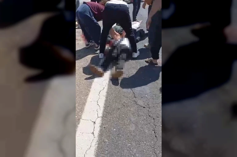 Şanlıurfa’da kurbanlık yüklü kamyonet devrildi: 1 ölü, 1 yaralı