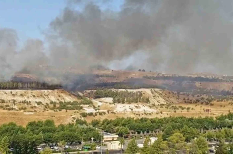 Şanlıurfa’da ormanlık alanda korkutan yangın