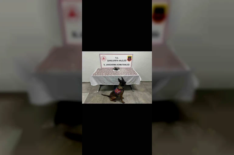 Şanlıurfa’da uyuşturucu operasyonu: 2 gözaltı