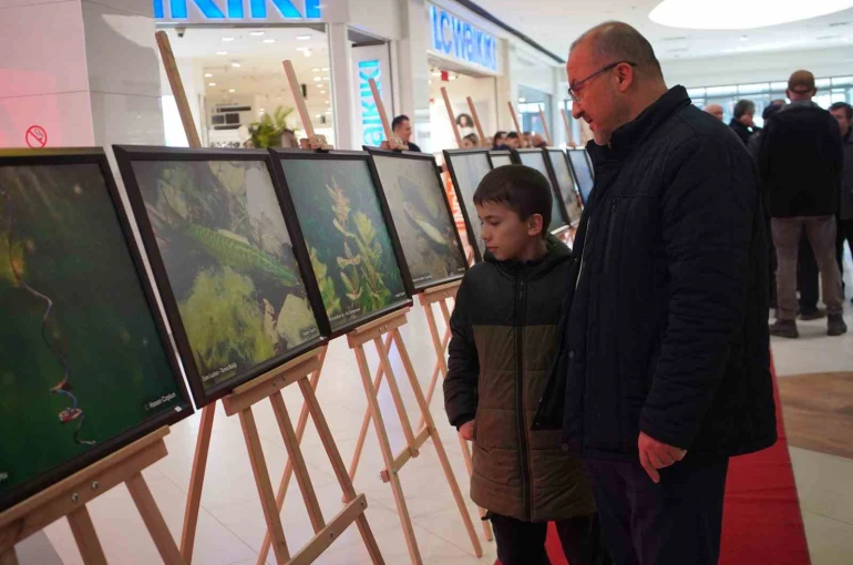 Sapanca Gölü fotoğrafları Gazze için umuda dönüştü: Geliri yetim ve öksüz çocuklara bağışlanacak