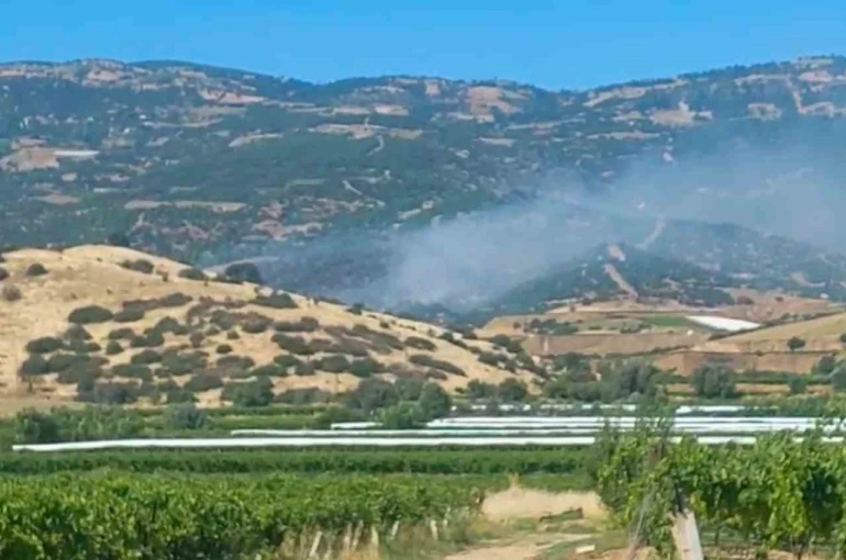 Sarıgöl’de orman yangını