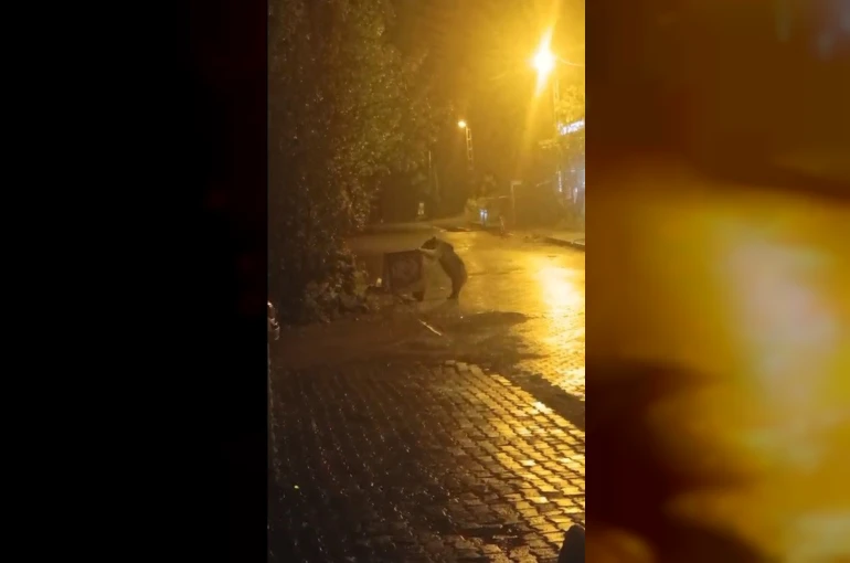 Sarıkamış’ta ayılar kış uykusunu unuttu