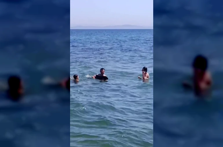 Şarköy’de denize girenlerin arasına yavru yunus daldı: Eğlenceli anlar kamerada 