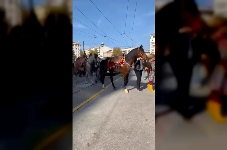 Şehir merkezinde gezdirilen atlar vatandaşları meraklandırdı