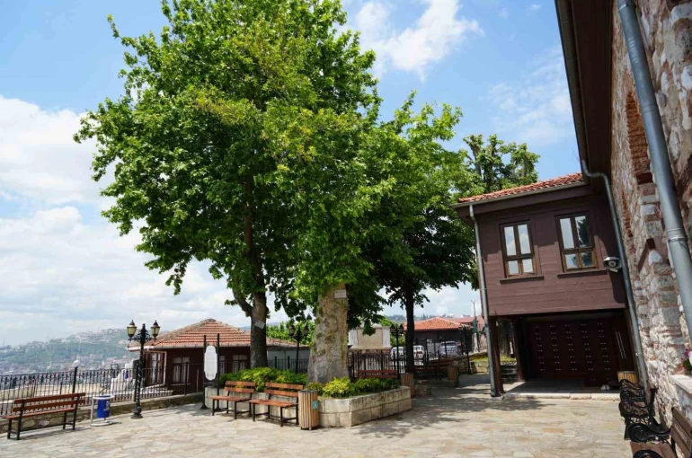 Sembol caminin 6 asırlık çınarı yıldırımlara rağmen ayakta
